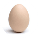 The Egg