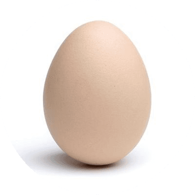 The Egg logo