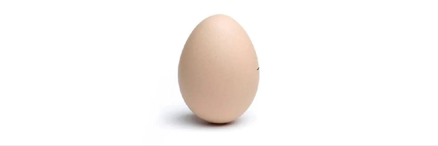 The Egg banner