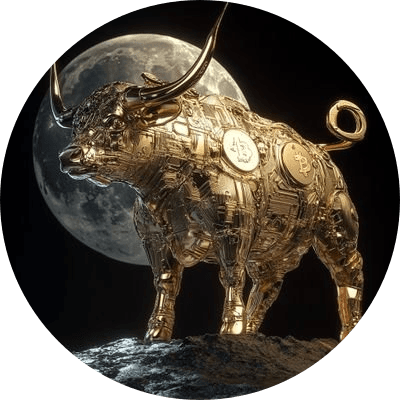 The Final Bullrun On SOL logo