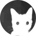 The flash cat