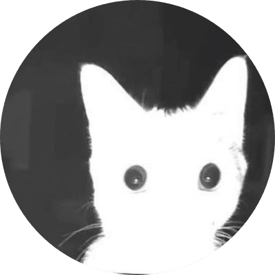 The flash cat logo