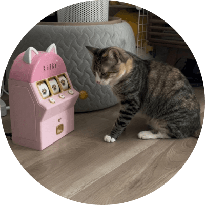 The Gambling Cat logo
