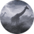 GIRAFFES