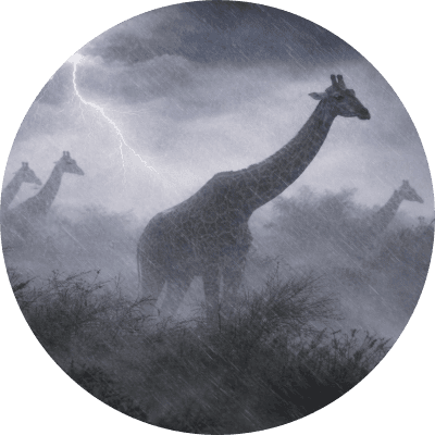 The Giraffes logo