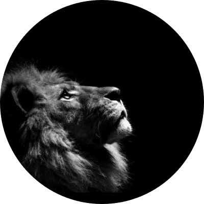 The Lion logo