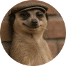 The Meerkat Meme