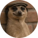 The Meerkat Meme