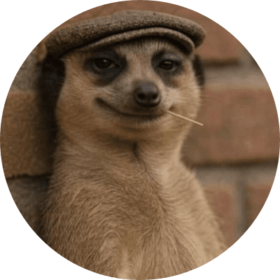 The Meerkat Meme logo
