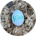 the most watched egg