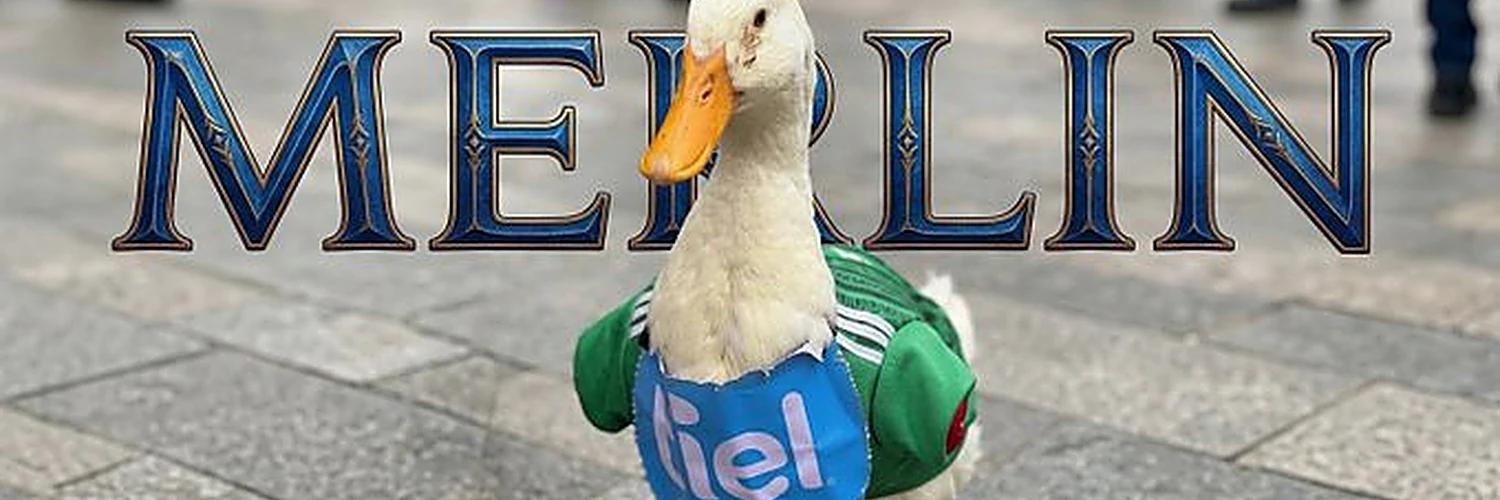 The Patriotic Duck banner
