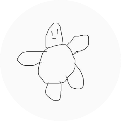 The Sloppy Drawn Turtle  logo