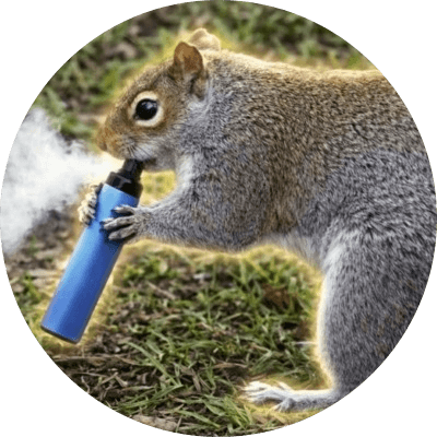 The Vaping Squirrel logo