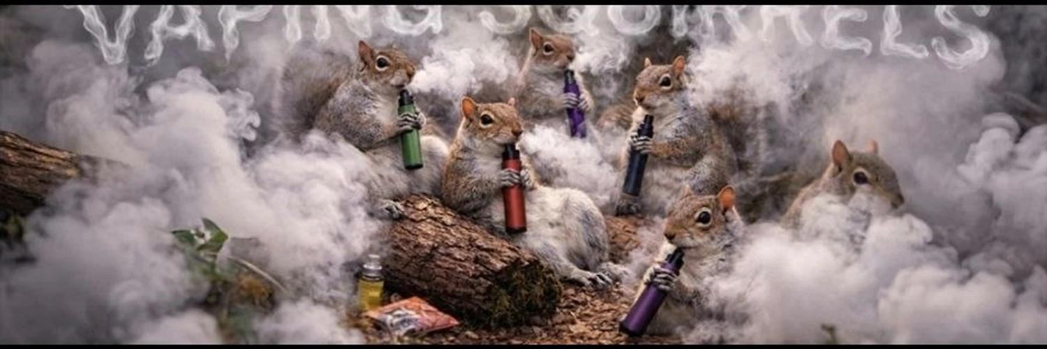 The Vaping Squirrel banner