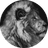 TheLion