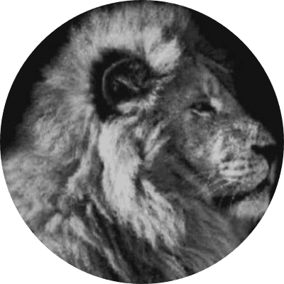 thelionrapesthedogwhenitbarks logo