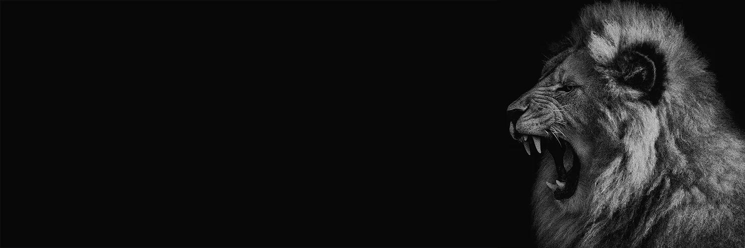 thelionrapesthedogwhenitbarks banner