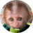 tiny
