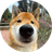 TOFU