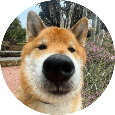 Tofu chan logo
