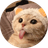 LUIS