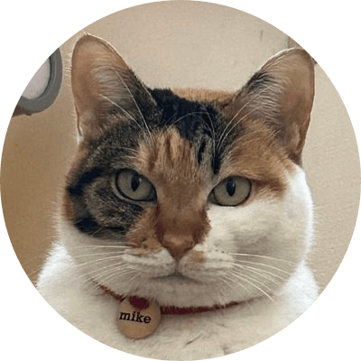 Totakeke's cat logo