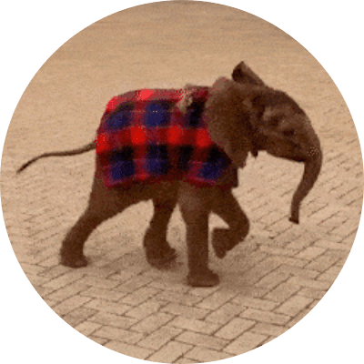 Toto the Baby Elephant logo