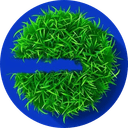 Touch Grass