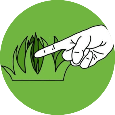 Touch Grass logo