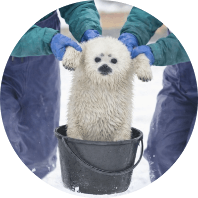 月 logo