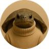 turtle neck