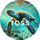 Turtle Off Solana Sea