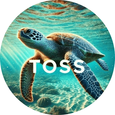 Turtle Off Solana Sea logo
