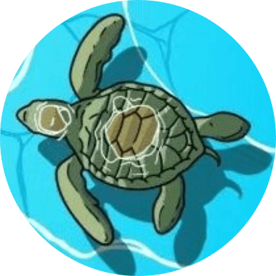 TURTLE logo