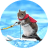 Twiggy the water skiing squirrel