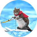 Twiggy the water skiing squirrel
