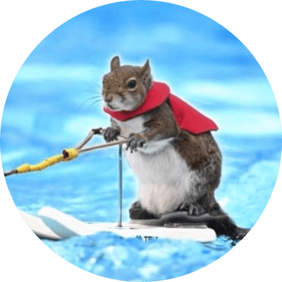 Twiggy the water skiing squirrel logo