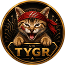 Tygr CTO