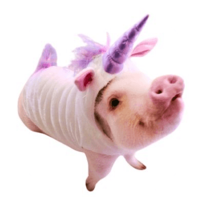 Unicorn Pig logo