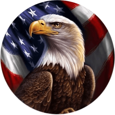 United States Of America logo