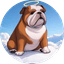 US Ambassador Animal Cruelty Law