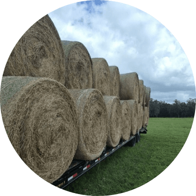 USAGRICULTUREUSA logo