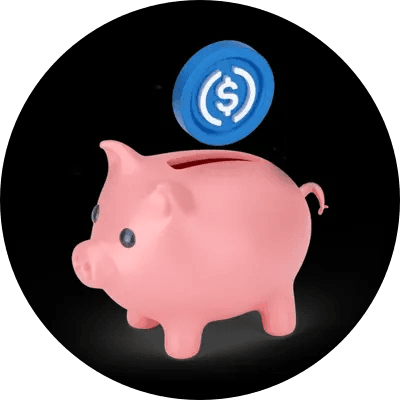 USDC Piggy Bank logo