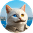 vankedisi