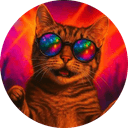 Vibe Cat