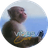 vibes