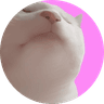 Vibe Cat