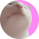 Vibe Cat
