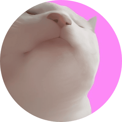 Vibe Cat logo