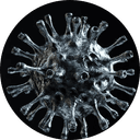 VIRUS AI